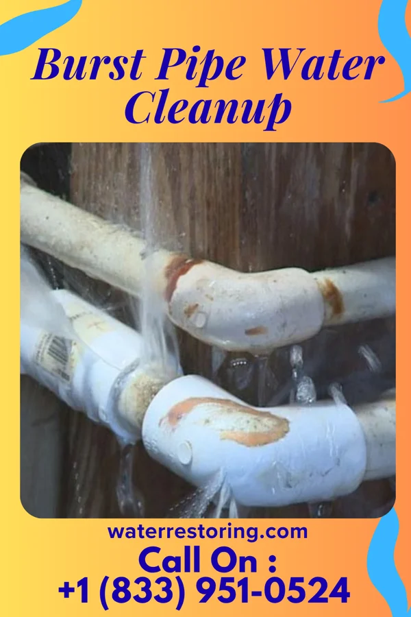 Burst Pipe Water Cleanup in Worthington, KY