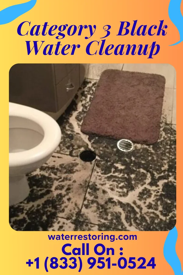 Category 3 Black Water Cleanup in Worthington, KY