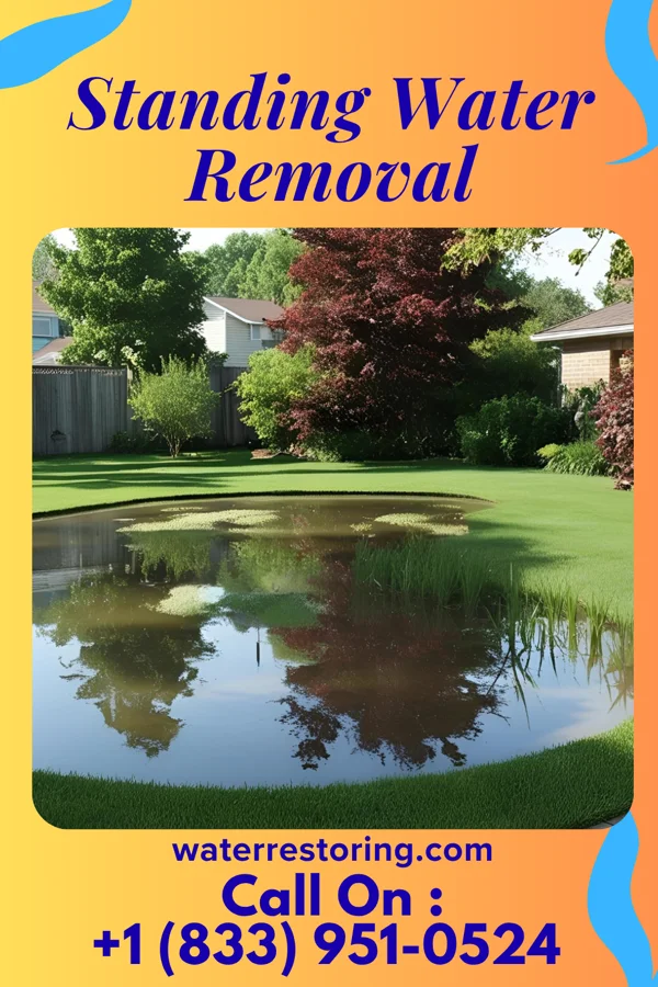 Standing Water Removal in Worthington, KY